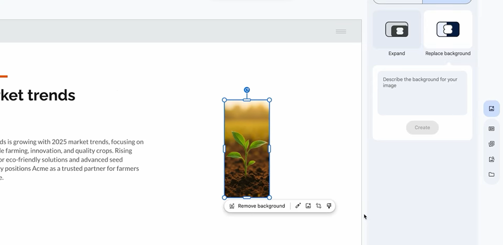 mo-rong-hinh-anh-trong-google-slides-1