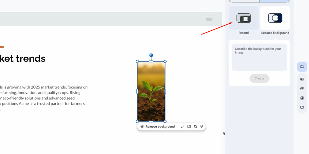 mo-rong-hinh-anh-trong-google-slides-2