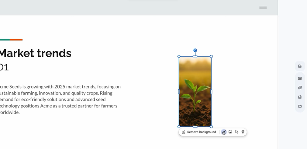 mo-rong-hinh-anh-trong-google-slides-3