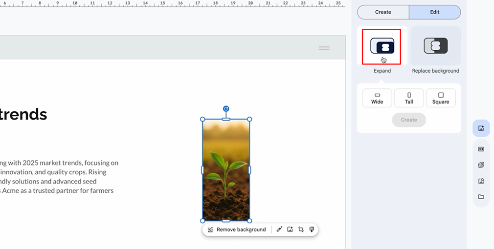 mo-rong-hinh-anh-trong-google-slides-5